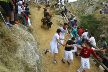 La ganadería Hípica Zahorí ha protagonizado un emocionante tercer encierro del Pilón en las fiestas de Falces, 2018, este martes 14 de agosto.
