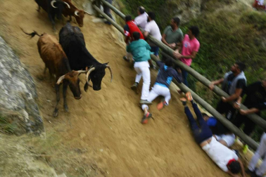 La ganadería Hípica Zahorí ha protagonizado un emocionante tercer encierro del Pilón en las fiestas de Falces, 2018, este martes 14 de agosto.