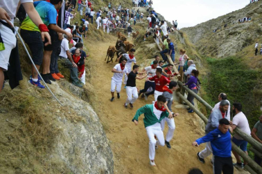 La ganadería Hípica Zahorí ha protagonizado un emocionante tercer encierro del Pilón en las fiestas de Falces, 2018, este martes 14 de agosto.