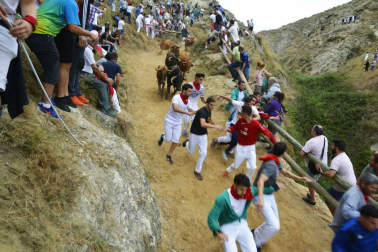 La ganadería Hípica Zahorí ha protagonizado un emocionante tercer encierro del Pilón en las fiestas de Falces, 2018, este martes 14 de agosto.
