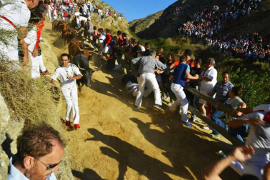 Las vacas de la ganadería Lastur, de Itziar (Guipúzcoa), han protagonizado un cuarto Pilón muy limpio y rápido.
