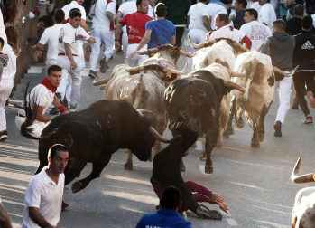 Las vacas de la ganadería Prieto de la Cal, de Huelva, han dejado dos trasladados al CHN, uno por dos cornadas en el muslo derecho.