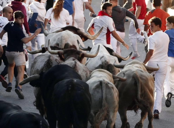 Las vacas de la ganadería Prieto de la Cal, de Huelva, han dejado dos trasladados al CHN, uno por dos cornadas en el muslo derecho.