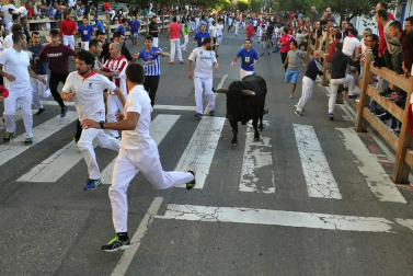 Las vacas de la ganadería Prieto de la Cal, de Huelva, han dejado dos trasladados al CHN, uno por dos cornadas en el muslo derecho.