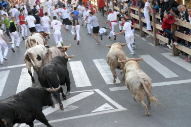 Las vacas de la ganadería Prieto de la Cal, de Huelva, han dejado dos trasladados al CHN, uno por dos cornadas en el muslo derecho.