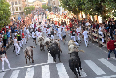 Las vacas de la ganadería Prieto de la Cal, de Huelva, han dejado dos trasladados al CHN, uno por dos cornadas en el muslo derecho.