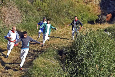 Las vacas de la ganadería Lastur, de Itziar (Guipúzcoa), han protagonizado un cuarto Pilón muy limpio y rápido.