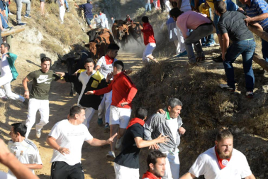 Las vacas de la ganadería Lastur, de Itziar (Guipúzcoa), han protagonizado un cuarto Pilón muy limpio y rápido.