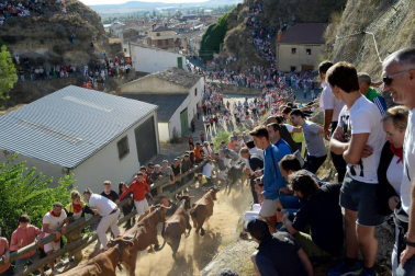 Las vacas de la ganadería Lastur, de Itziar (Guipúzcoa), han protagonizado un cuarto Pilón muy limpio y rápido.