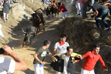 Las vacas de la ganadería Lastur, de Itziar (Guipúzcoa), han protagonizado un cuarto Pilón muy limpio y rápido.