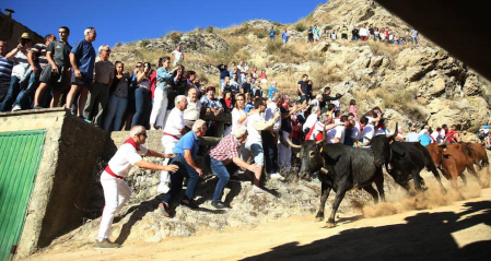 Las vacas de la ganadería Lastur, de Itziar (Guipúzcoa), han protagonizado un cuarto Pilón muy limpio y rápido.
