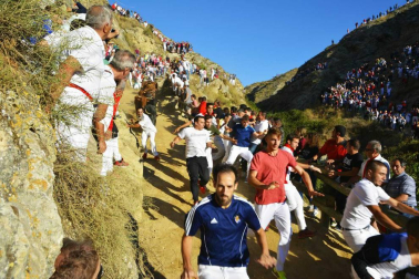 Las vacas de la ganadería Lastur, de Itziar (Guipúzcoa), han protagonizado un cuarto Pilón muy limpio y rápido.
