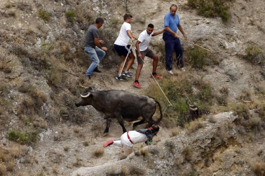 Quinto encierro del Pilón de fiestas de Falces 2018, 16 de agosto con la ganadería Adrián Domínguez, de Funes