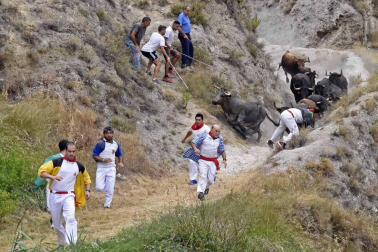 Quinto encierro del Pilón de fiestas de Falces 2018, 16 de agosto con la ganadería Adrián Domínguez, de Funes