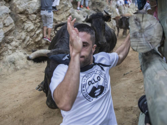 Quinto encierro del Pilón de fiestas de Falces 2018, 16 de agosto con la ganadería Adrián Domínguez, de Funes