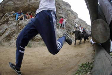 Quinto encierro del Pilón de fiestas de Falces 2018, 16 de agosto con la ganadería Adrián Domínguez, de Funes