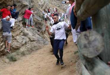 Quinto encierro del Pilón de fiestas de Falces 2018, 16 de agosto con la ganadería Adrián Domínguez, de Funes