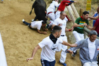 Quinto encierro del Pilón de fiestas de Falces 2018, 16 de agosto con la ganadería Adrián Domínguez, de Funes
