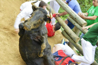 Quinto encierro del Pilón de fiestas de Falces 2018, 16 de agosto con la ganadería Adrián Domínguez, de Funes