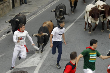 Fotos del tercer día de las fiestas de Tafalla y segundo encierro (16 de agosto de 2018)