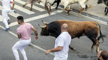 Fotos del tercer día de las fiestas de Tafalla y segundo encierro (16 de agosto de 2018)