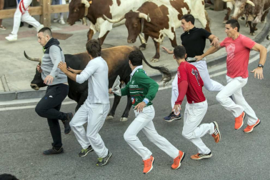 Fotos del tercer día de las fiestas de Tafalla y segundo encierro (16 de agosto de 2018)