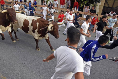 Fotos del tercer día de las fiestas de Tafalla y segundo encierro (16 de agosto de 2018)