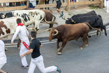 Los toros de Ángel Macua se estrenan en el tercer encierro de fiestas de Tafalla 2018, 17 de agosto