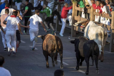 Los toros de Ángel Macua se estrenan en el tercer encierro de fiestas de Tafalla 2018, 17 de agosto
