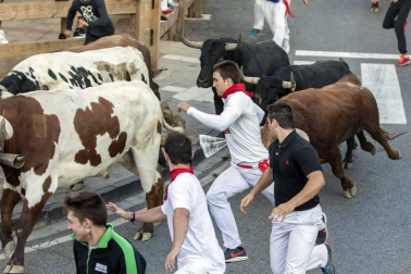 Los toros de Ángel Macua se estrenan en el tercer encierro de fiestas de Tafalla 2018, 17 de agosto