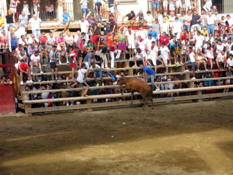 Fotos de las fiestas de Murchante