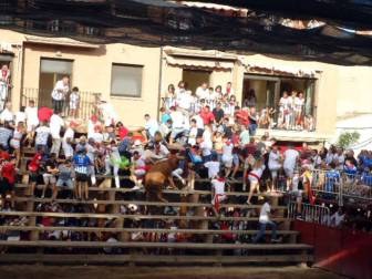 Fotos de las fiestas de Murchante