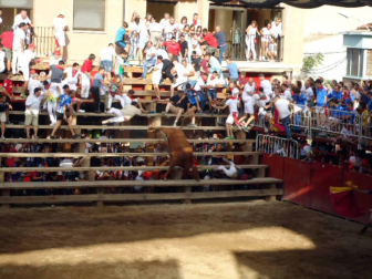Fotos de las fiestas de Murchante