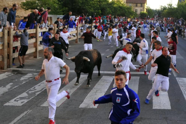 Cuarto encierro de Tafalla y quinto día de fiestas (18 de agosto de 2018)
