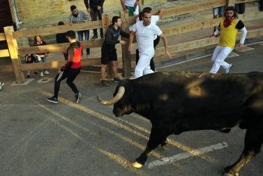 Cuarto encierro de Tafalla y quinto día de fiestas (18 de agosto de 2018)