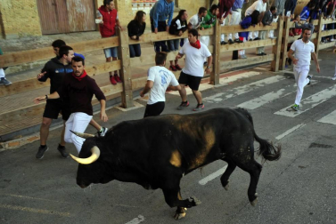 Cuarto encierro de Tafalla y quinto día de fiestas (18 de agosto de 2018)