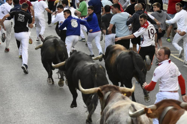 Cuarto encierro de Tafalla y quinto día de fiestas (18 de agosto de 2018)
