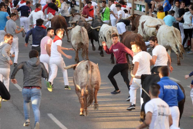 Quinto encierro de Tafalla y sexto día de fiestas (19 de agosto de 2018)