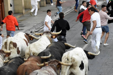 Quinto encierro de Tafalla y sexto día de fiestas (19 de agosto de 2018)