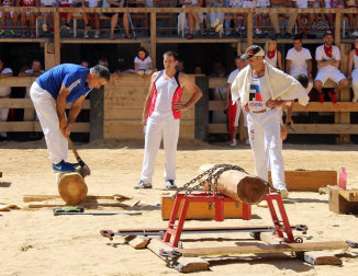 Imágenes de las fiestas de Lerín con charangas, comparsa y otros.