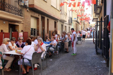 Imágenes de las fiestas de Lerín con charangas, comparsa y otros.