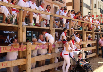Imágenes de las fiestas de Lerín con charangas, comparsa y otros.