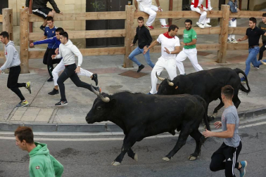 Tafalla finaliza sus fiestas con en último encierro de toros, la despedida de los gigantes, cantos por las calles y un correfoc focarrada