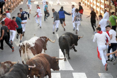 Tafalla finaliza sus fiestas con en último encierro de toros, la despedida de los gigantes, cantos por las calles y un correfoc focarrada