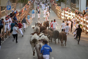Tafalla finaliza sus fiestas con en último encierro de toros, la despedida de los gigantes, cantos por las calles y un correfoc focarrada