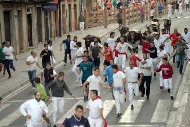 Tafalla finaliza sus fiestas con en último encierro de toros, la despedida de los gigantes, cantos por las calles y un correfoc focarrada
