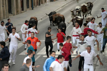 Tafalla finaliza sus fiestas con en último encierro de toros, la despedida de los gigantes, cantos por las calles y un correfoc focarrada
