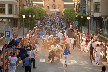 Tafalla finaliza sus fiestas con en último encierro de toros, la despedida de los gigantes, cantos por las calles y un correfoc focarrada