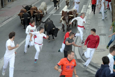 Tafalla finaliza sus fiestas con en último encierro de toros, la despedida de los gigantes, cantos por las calles y un correfoc focarrada
