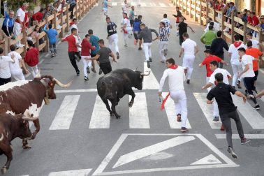 Tafalla finaliza sus fiestas con en último encierro de toros, la despedida de los gigantes, cantos por las calles y un correfoc focarrada
